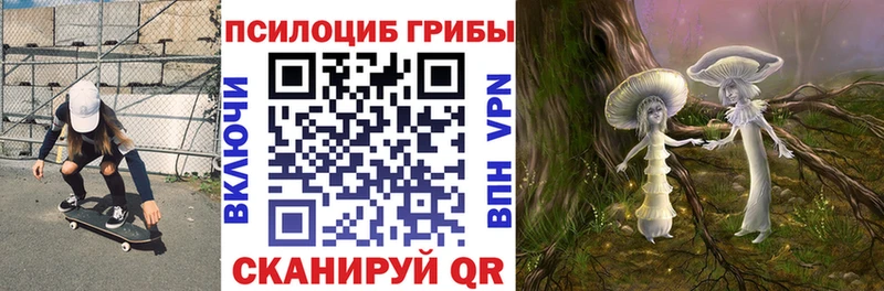 Псилоцибиновые грибы прущие грибы  Ликино-Дулёво 